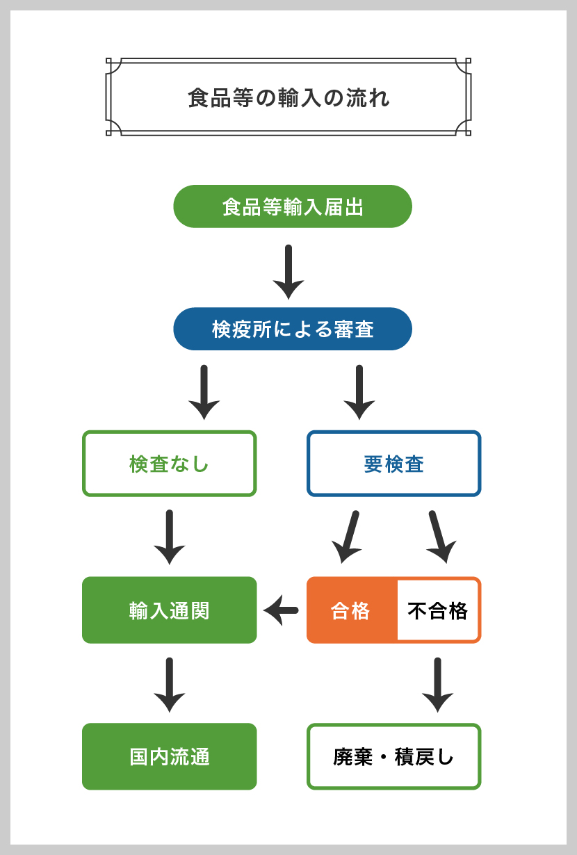 食品等の輸入の流れ